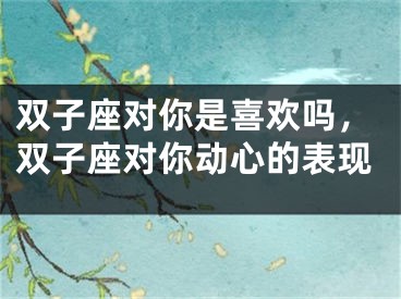 双子座对你是喜欢吗,双子座对你动心的表现