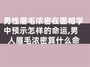 男性眉毛浓密在面相学中预示怎样的命运,男人眉毛浓密算什么命