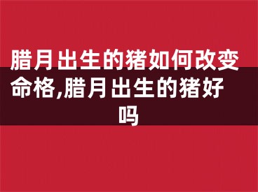 腊月出生的猪如何改变命格,腊月出生的猪好吗