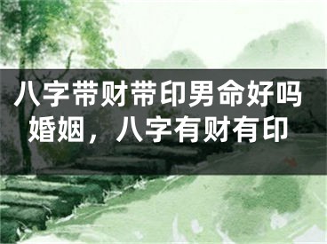 八字带财带印男命好吗婚姻，八字有财有印