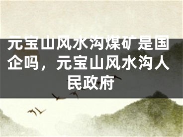 元宝山风水沟煤矿是国企吗，元宝山风水沟人民政府