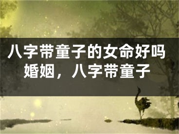八字带童子的女命好吗婚姻,八字带童子