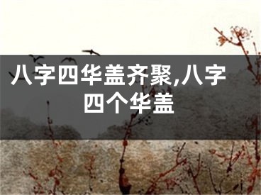 八字四华盖齐聚,八字四个华盖