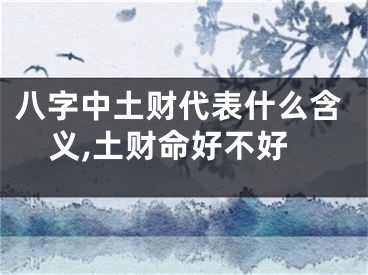 八字中土财代表什么含义,土财命好不好