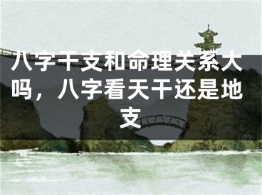 八字干支和命理关系大吗,八字看天干还是地支