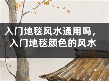 入门地毯风水通用吗，入门地毯颜色的风水