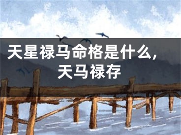 天星禄马命格是什么,天马禄存