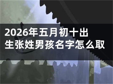 2026年五月初十出生张姓男孩名字怎么取