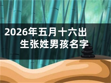2026年五月十六出生张姓男孩名字