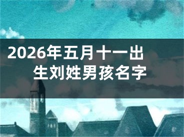 2026年五月十一出生刘姓男孩名字