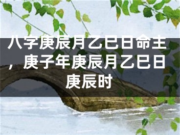 八字庚辰月乙巳日命主，庚子年庚辰月乙巳日庚辰时