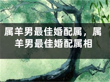 属羊男最佳婚配属,属羊男最佳婚配属相