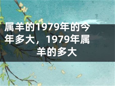 属羊的1979年的今年多大,1979年属羊的多大