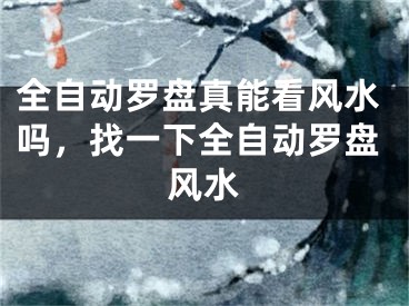 全自动罗盘真能看风水吗，找一下全自动罗盘风水