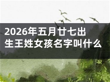 2026年五月廿七出生王姓女孩名字叫什么
