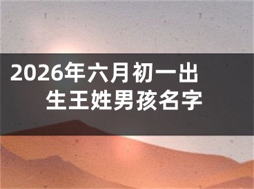 2026年六月初一出生王姓男孩名字