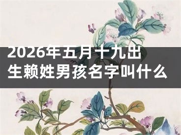 2026年五月十九出生赖姓男孩名字叫什么