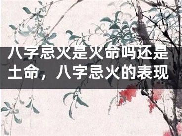 八字忌火是火命吗还是土命,八字忌火的表现