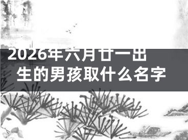 2026年六月廿一出生的男孩取什么名字
