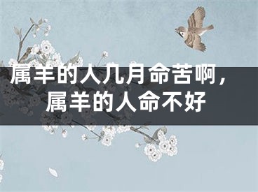 属羊的人几月命苦啊，属羊的人命不好