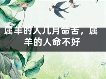 属羊的人几月命苦，属羊的人命不好