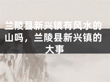 兰陵县新兴镇有风水的山吗,兰陵县新兴镇的大事