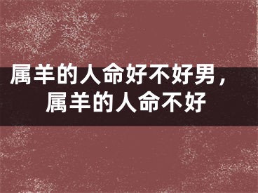 属羊的人命好不好男,属羊的人命不好