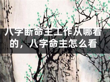 八字断命主工作从哪看的，八字命主怎么看