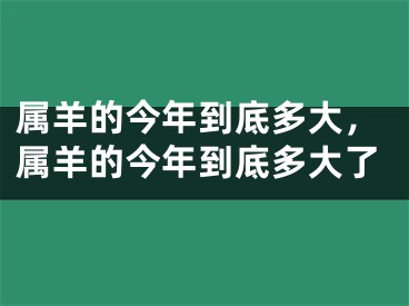 属羊的今年到底多大，属羊的今年到底多大了