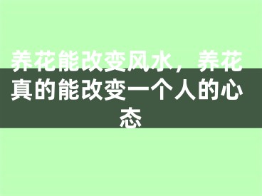 养花能改变风水，养花真的能改变一个人的心态