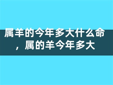 属羊的今年多大什么命,属的羊今年多大