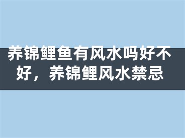 养锦鲤鱼有风水吗好不好，养锦鲤风水禁忌