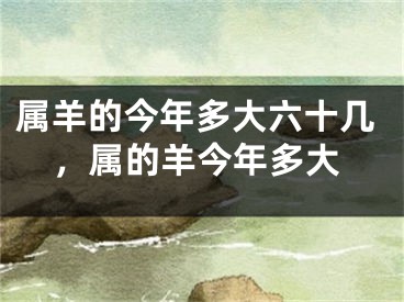 属羊的今年多大六十几,属的羊今年多大