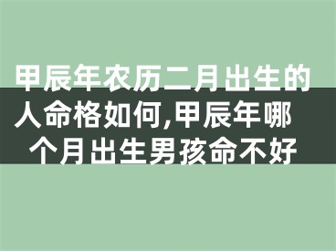 甲辰年农历二月出生的人命格如何,甲辰年哪个月出生男孩命不好