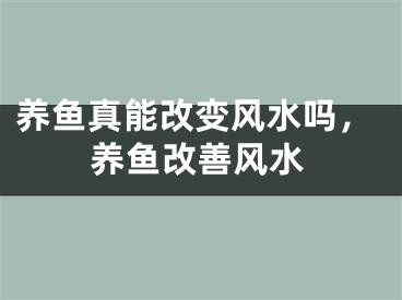 养鱼真能改变风水吗，养鱼改善风水