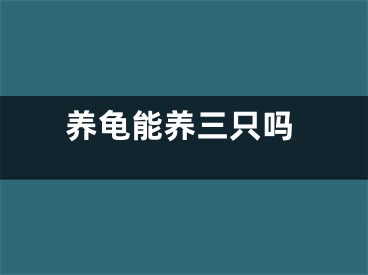 养龟能养三只吗