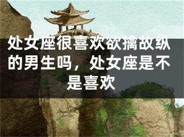 处女座很喜欢欲擒故纵的男生吗,处女座是不是喜欢
