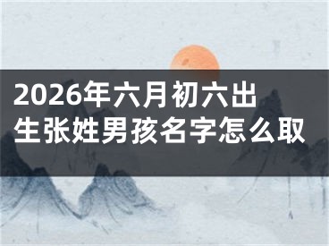 2026年六月初六出生张姓男孩名字怎么取
