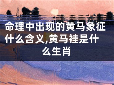 命理中出现的黄马象征什么含义,黄马袿是什么生肖