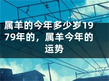 属羊的今年多少岁1979年的，属羊今年的运势