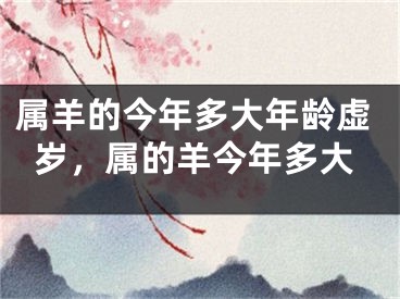 属羊的今年多大年龄虚岁，属的羊今年多大