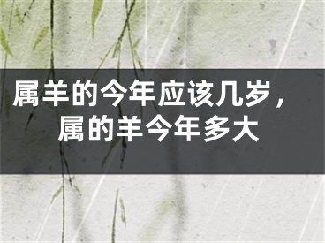 属羊的今年应该几岁,属的羊今年多大