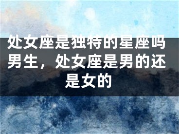 处女座是独特的星座吗男生,处女座是男的还是女的