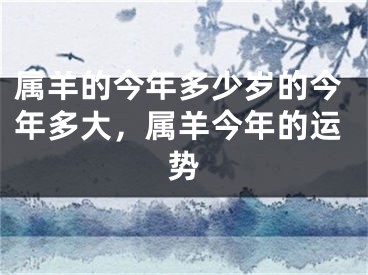 属羊的今年多少岁的今年多大,属羊今年的运势