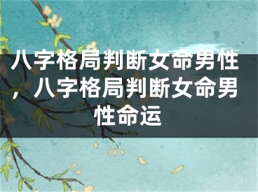 八字格局判断女命男性,八字格局判断女命男性命运