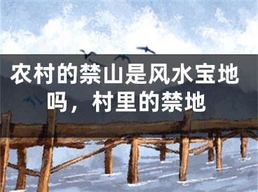 农村的禁山是风水宝地吗,村里的禁地