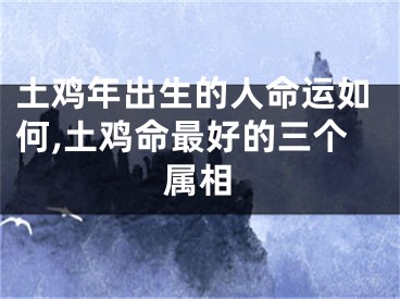 土鸡年出生的人命运如何,土鸡命最好的三个属相