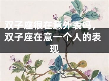 双子座很在意外表吗，双子座在意一个人的表现