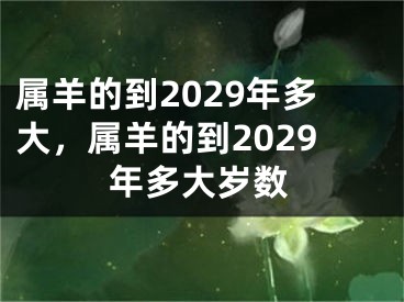 属羊的到2029年多大，属羊的到2029年多大岁数