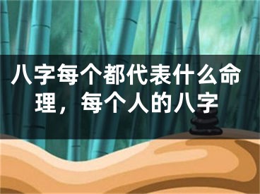 八字每个都代表什么命理,每个人的八字